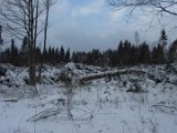 Nach Orkan Friederike - Naehe Turm Hochsolling  (3)